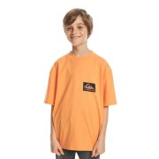 Děti - Quiksilver Back Flash Youth